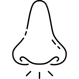 nose